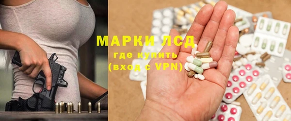 ПСИЛОЦИБИНОВЫЕ ГРИБЫ Михайлов