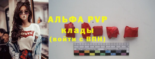 ПСИЛОЦИБИНОВЫЕ ГРИБЫ Михайлов