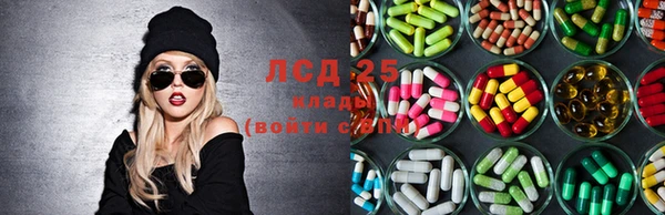 ПСИЛОЦИБИНОВЫЕ ГРИБЫ Михайлов