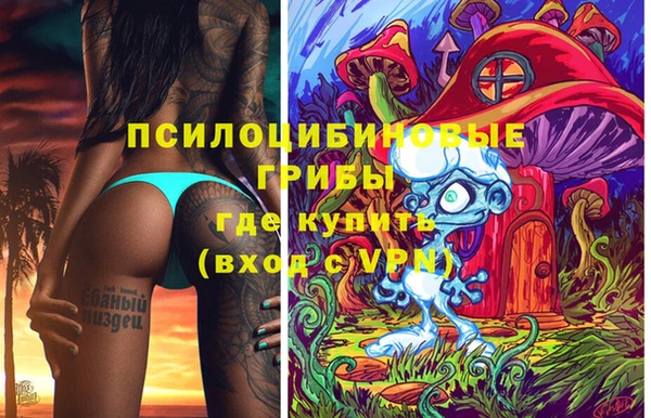 ПСИЛОЦИБИНОВЫЕ ГРИБЫ Михайлов