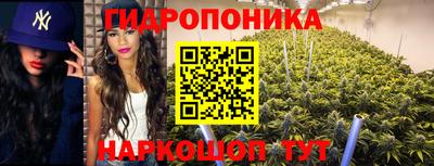 круглые Аргун