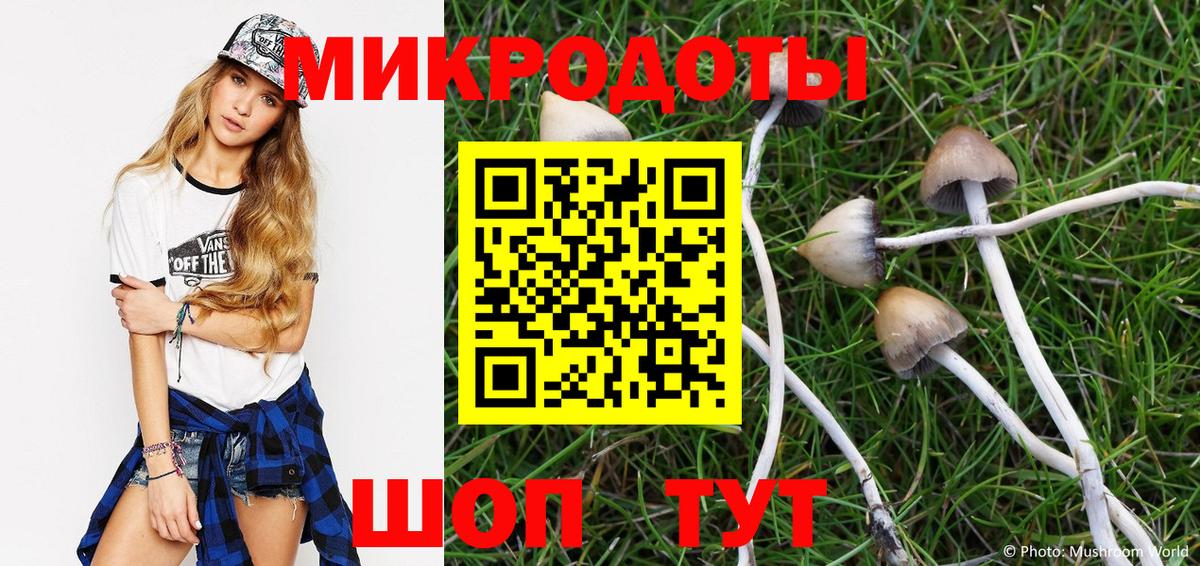 Псилоцибиновые грибы Magic Shrooms  купить наркотики цена  Егорьевск  Галлюциногенные грибы ЛСД 