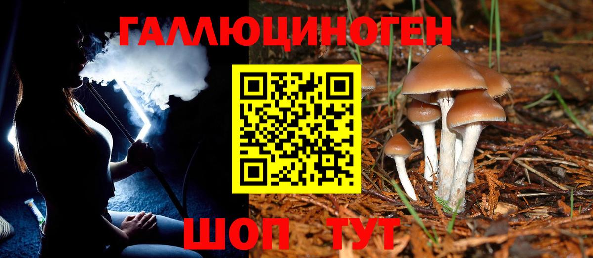 ТГК Егорьевск