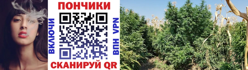 MEGA ONION  Егорьевск  Конопля Amnesia 
